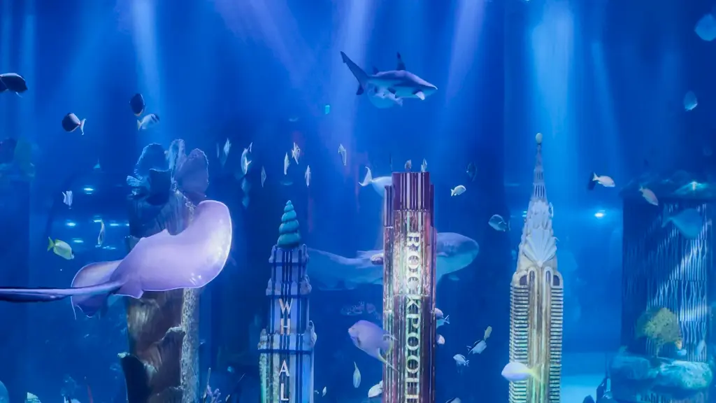 10905097_072321-localish-MGT5599-SEALIFEAQUARIUM-WABC-vid.webp